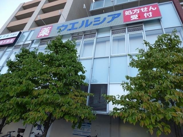 ドラッグストア