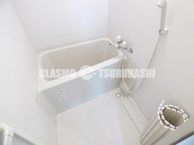 バス
