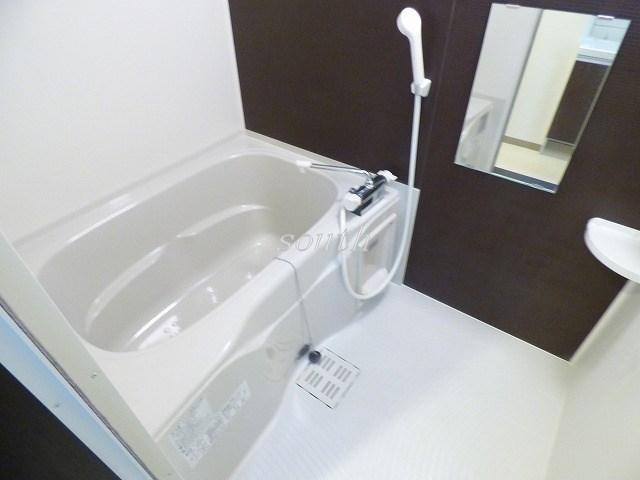 バス