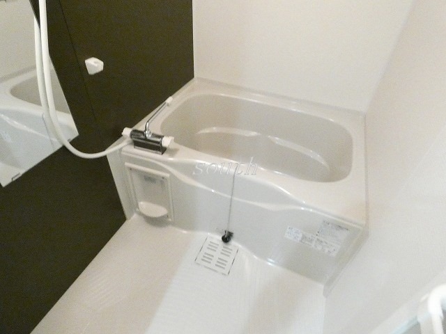 バス