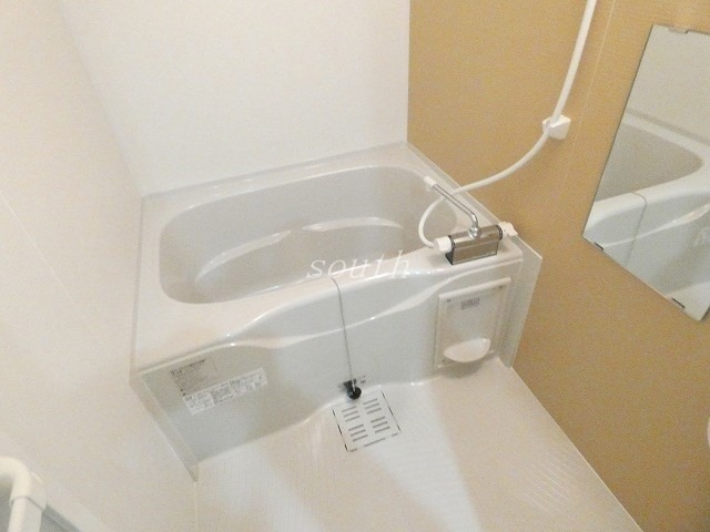 バス