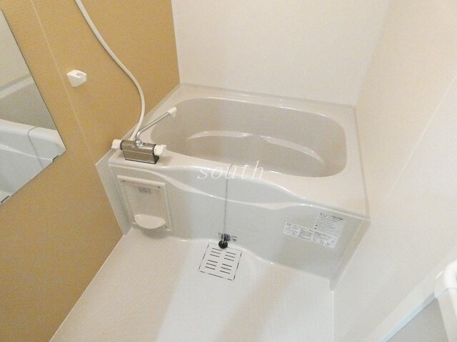 バス