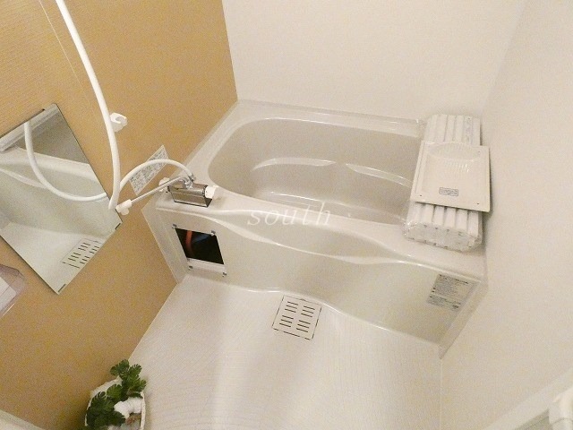 バス