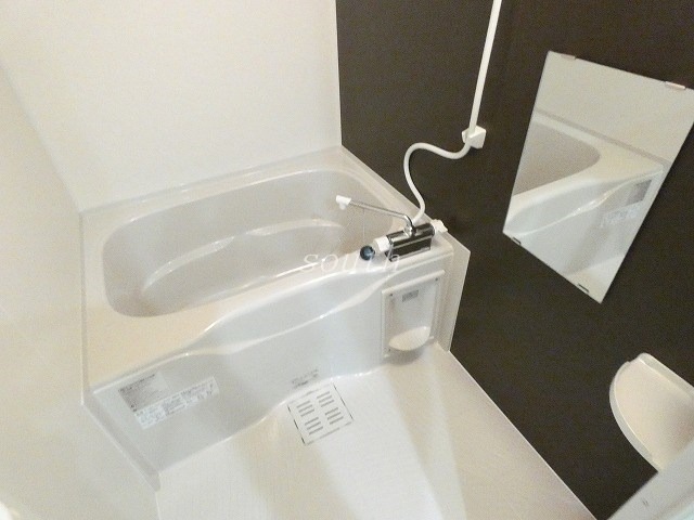 バス