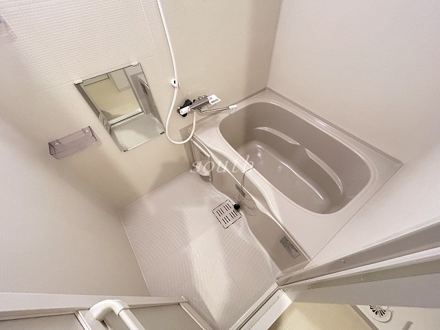 バス
