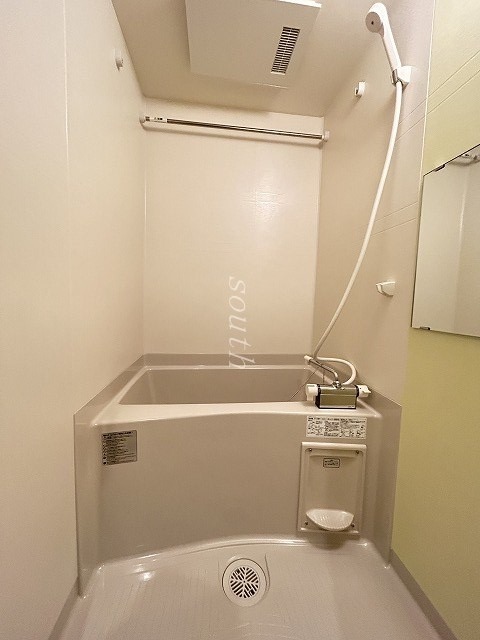 バス