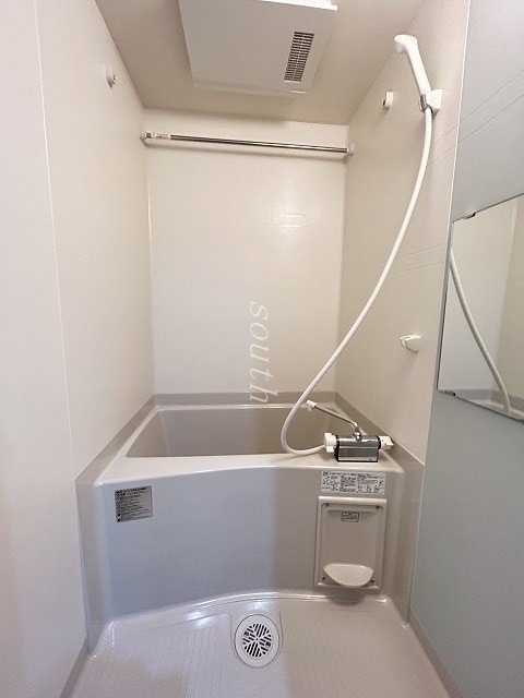 バス