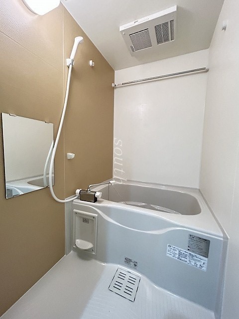 バス
