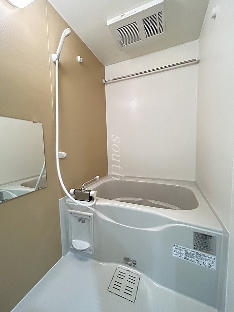 バス