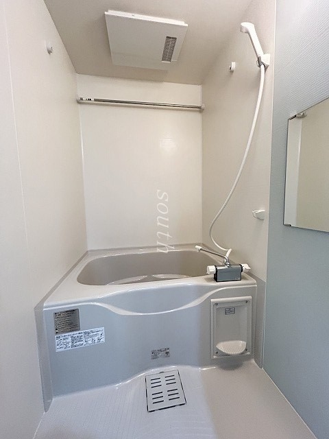 バス