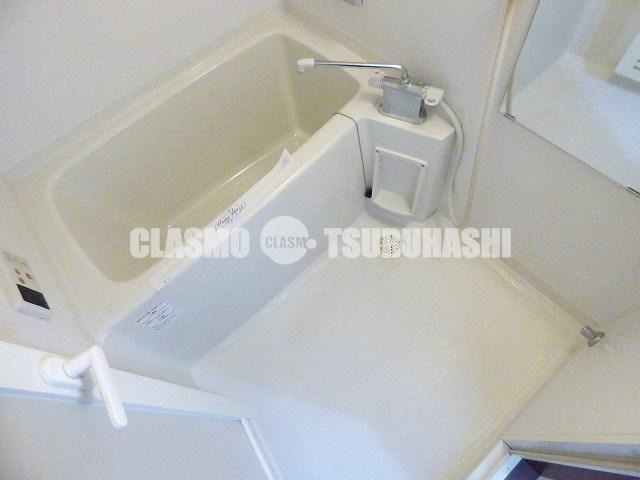 バス