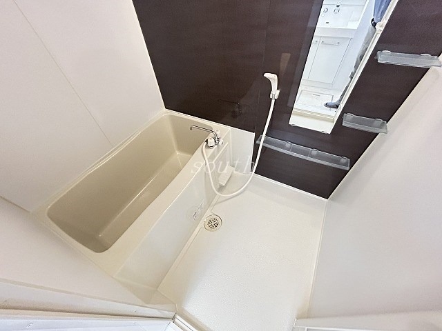 バス